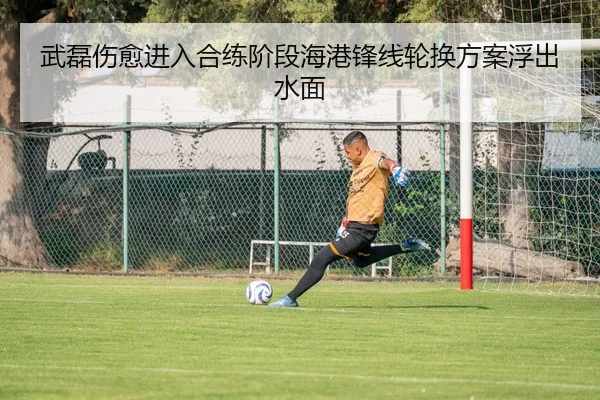 武磊伤愈进入合练阶段海港锋线轮换方案浮出水面