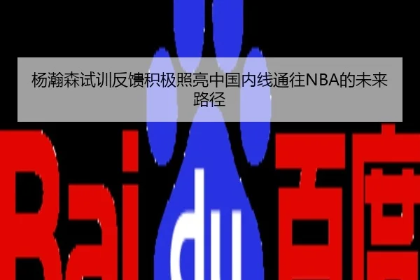 杨瀚森试训反馈积极照亮中国内线通往NBA的未来路径